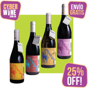 Caja Singular x6 - 30% OFF!